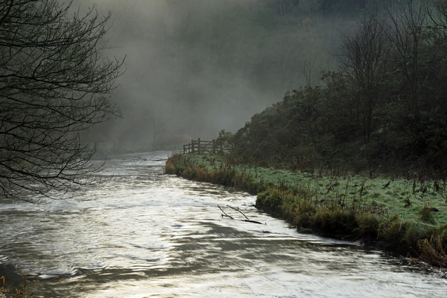 Misty River, Wolfscote Dale by Rod Johnson