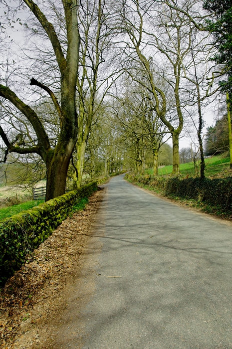 Cotton Lane, at the end of the Dell