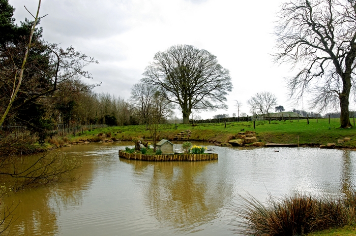 Pond by Beelow Lane