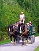 >Horse-drawn Cart, Carsington Water by Rod Johnson