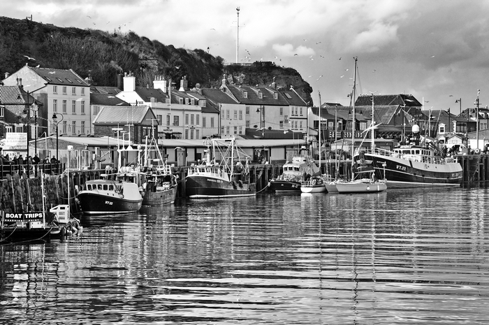 >The Fish Quay, Whitby by Rod Johnson
