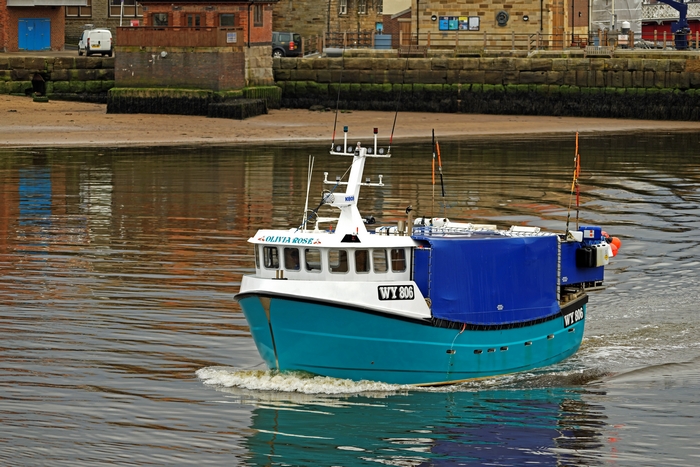 The Olivia Rose In Whitby Lower Harbour by Rod Johnson