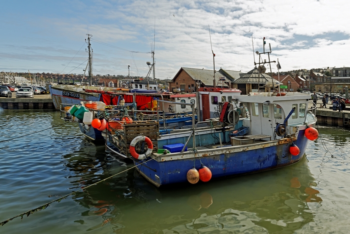 Fishing Boats at Endeavour Wharf, Whitby by Rod Johnson