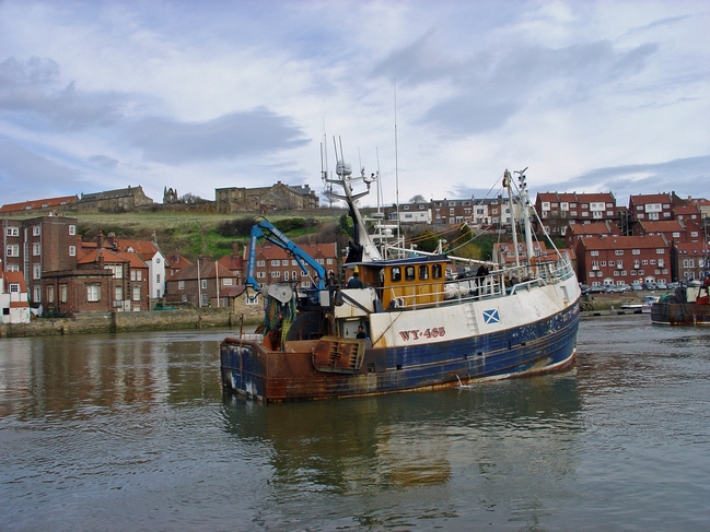 Fishing Trawler WY485 at Whitby by Rod Johnson