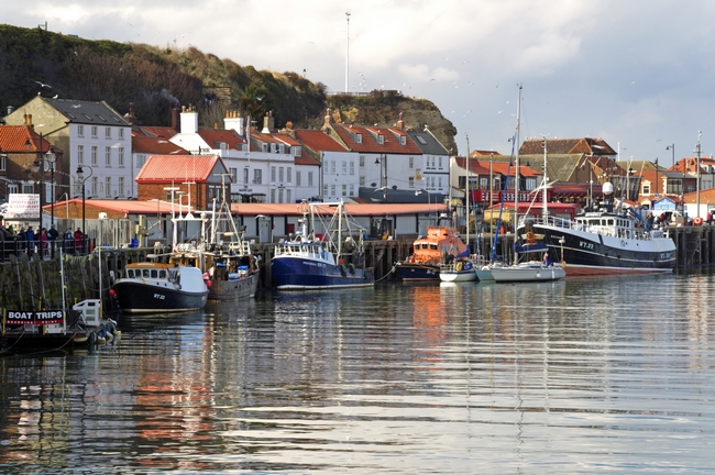 Boats in the Lower Harbour, Whitby by Rod Johnson