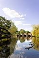 >Bakewell Bridge, Over the River Wye by Rod Johnson