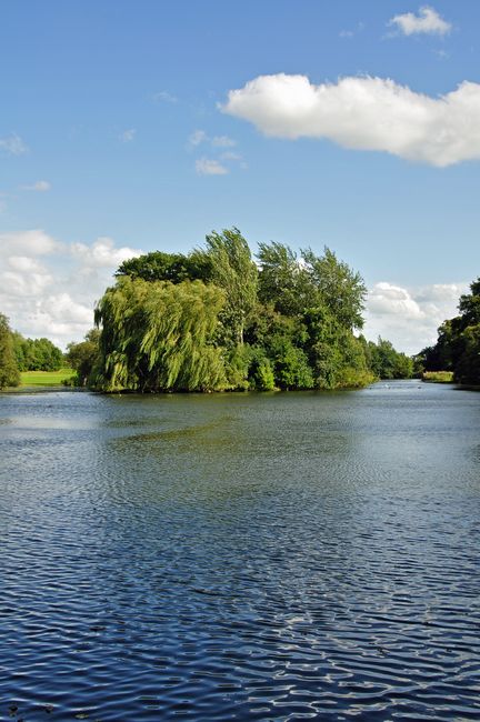 Markeaton Park Lake, Derby by Rod Johnson