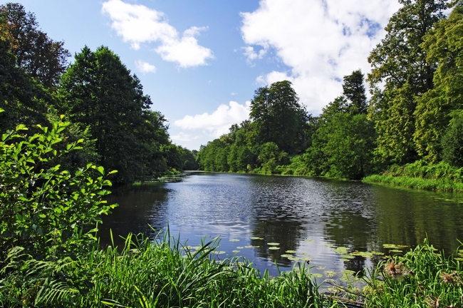 Along Mere Pond, Calke Park by Rod Johnson