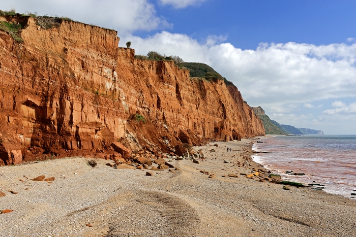 Salcombe Hill Cliff, Sidmouth by Rod Johnson