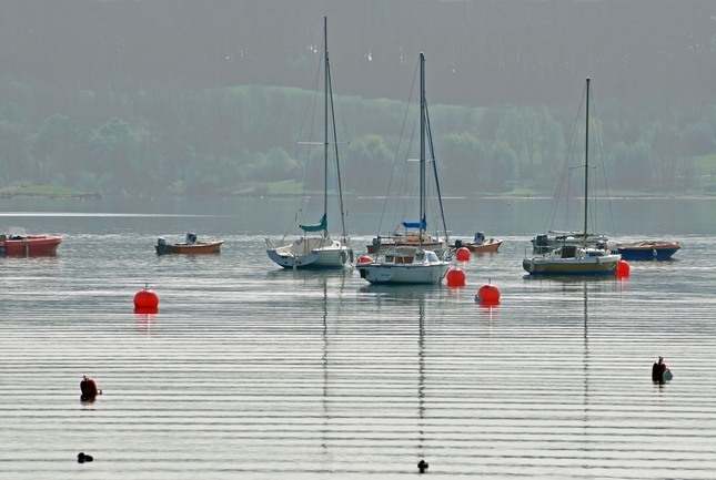 Boats On Carsington Water by Rod Johnson