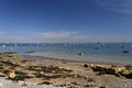 >Seaview Beach and The Solent - 01 by Rod Johnson