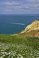 >Alum Bay from West High Down by Rod Johnson