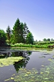 Village Pond, Tissington by Rod Johnson