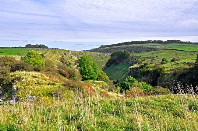 Looking Down into Lathkill Dale by Rod Johnson