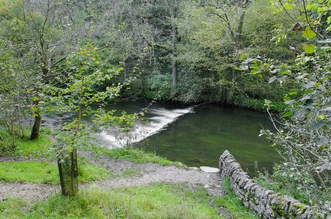 Weir Below Lover's Leap, Dovedale by Rod Johnson