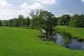 >Riverside Meadows, Ashford-in-the-Water by Rod Johnson