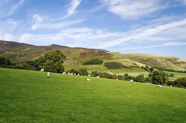 The Hill Range North of Edale by Rod Johnson