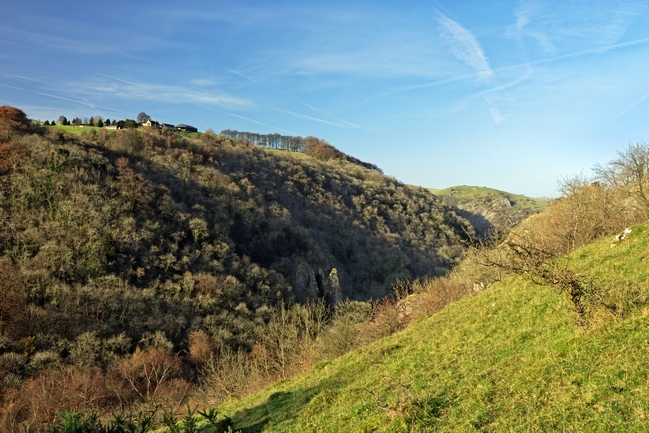Across The Valley To Dovedale Wood by Rod Johnson