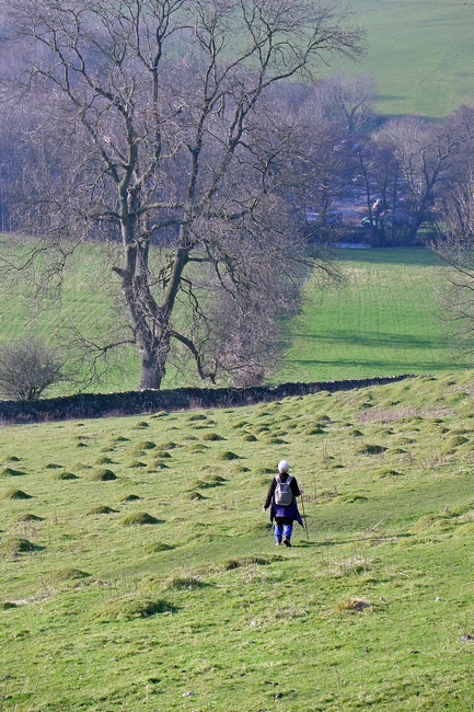 Hill Walking by Rod Johnson
