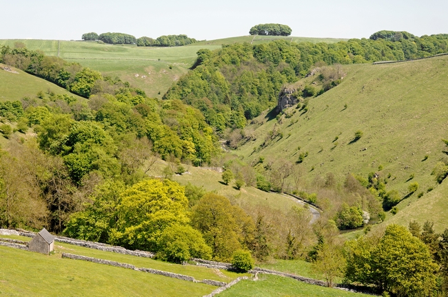 Hilltop View Above Mill Dale by Rod Johnson