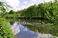 >Rowing Practice, near Branston by Rod Johnson