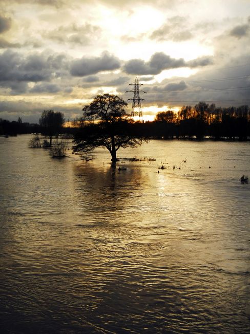 The Trent Washlands in Full Flood by Rod Johnson