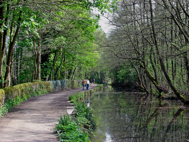 Cromford Canal, Tree Lined Walk by Rod Johnson