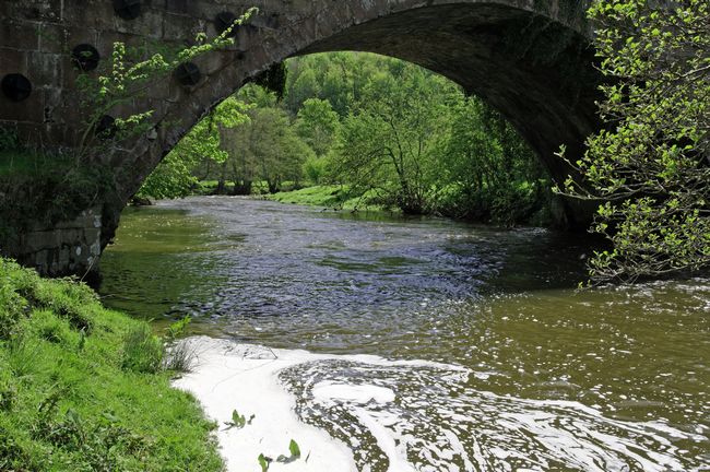 The River Dove Beneath Coldwall Bridge by Rod Johnson