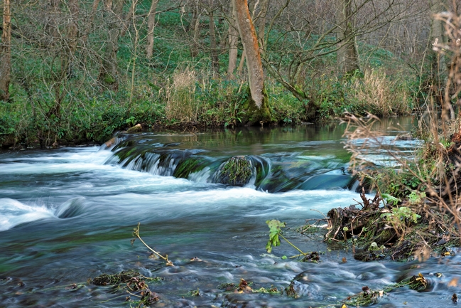 Woodland Weir, Dovedale by Rod Johnson