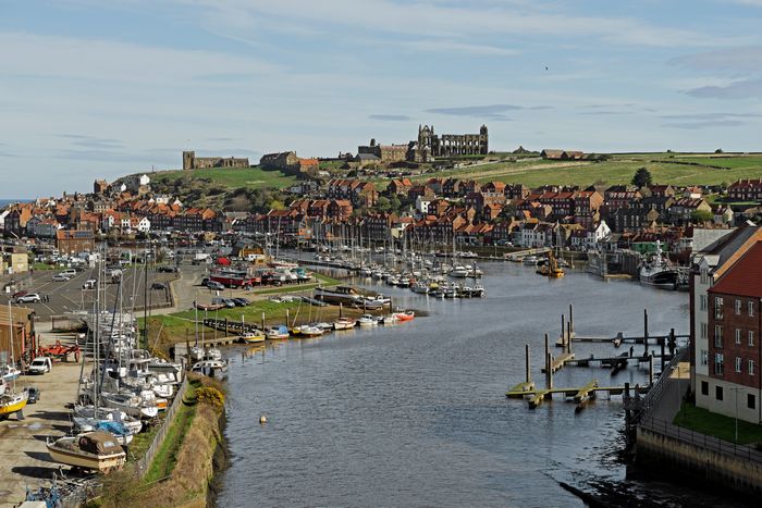 Whitby Marina and The River Esk by Rod Johnson