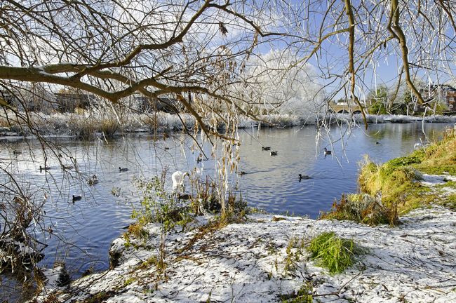 Wintry River at Newton Road Park by Rod Johnson