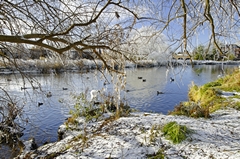 A wintry scene of the River Trent through the trees at Newton Road Rark,  Burton on Trent. Link to Winter Gallery.
